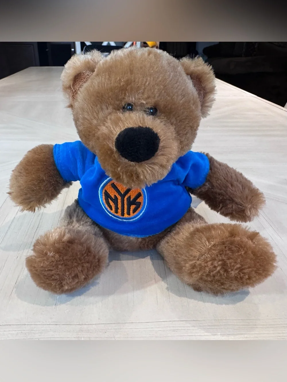 New York Knicks NBA Finals Champs Traditional Plush Bear – Royal Blue – Like New